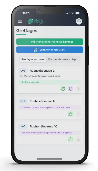 Une capture d'écran du logiciel Melys qui affiche des greffage de cellules royales